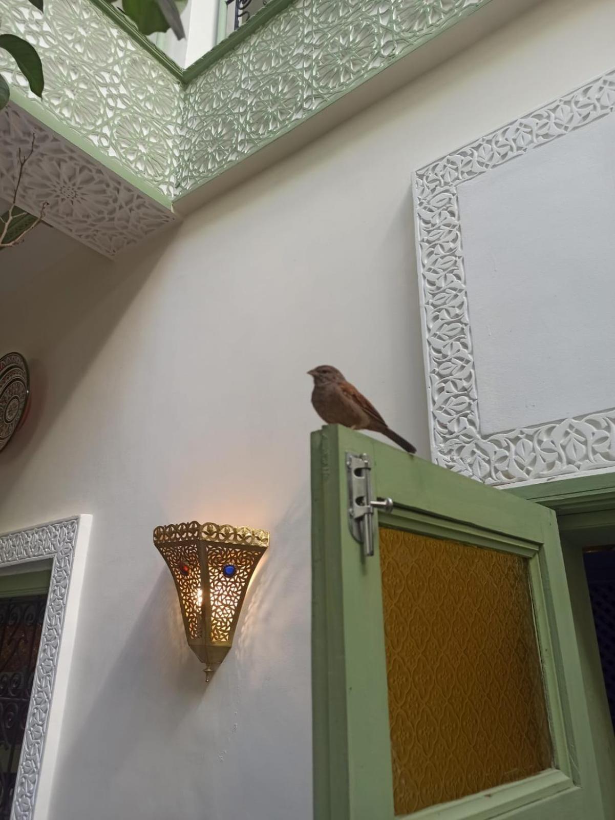 Riad Med Agora 马拉喀什 外观 照片