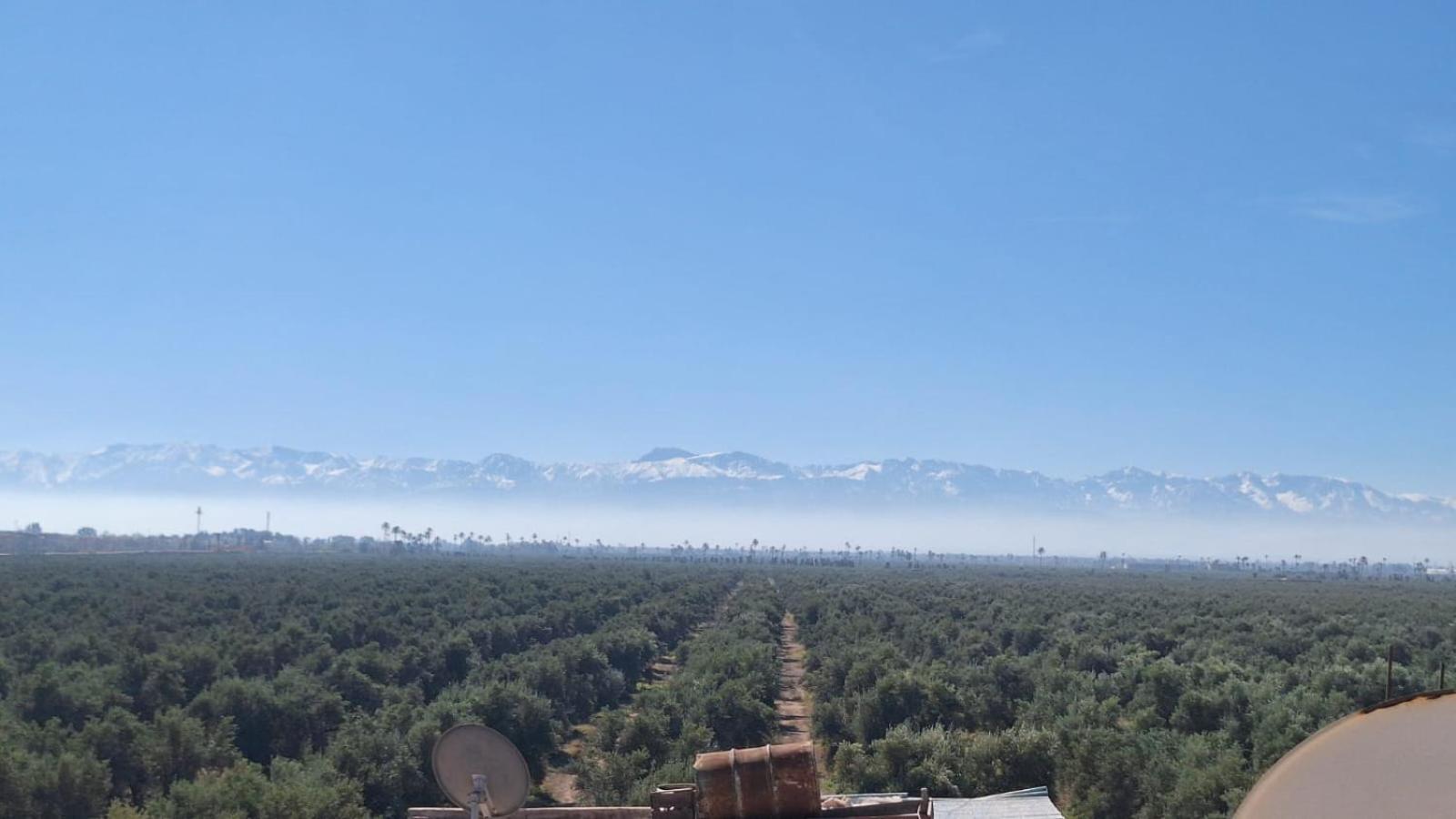 Riad Med Agora 马拉喀什 外观 照片